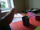 20170625_074930m.jpg